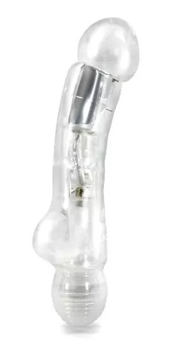 Splash - Coconut Cream - Clear