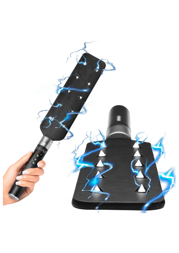 ZS E-Stim Spiked Paddle