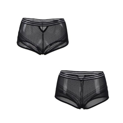 Sexy High Waist Perspective Panty - M-L